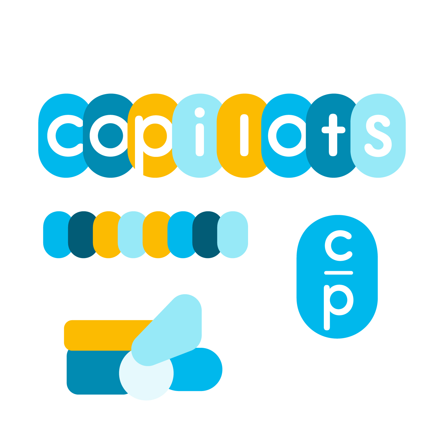Co-Pilots-Branding-03